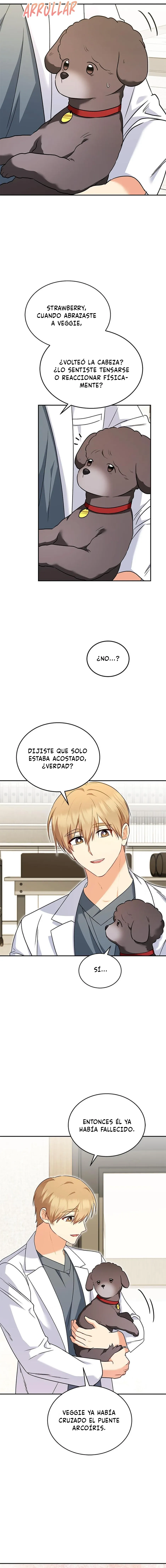 ¡Veterinario! ¿Hola? Capítulo 34 en Línea - página 9