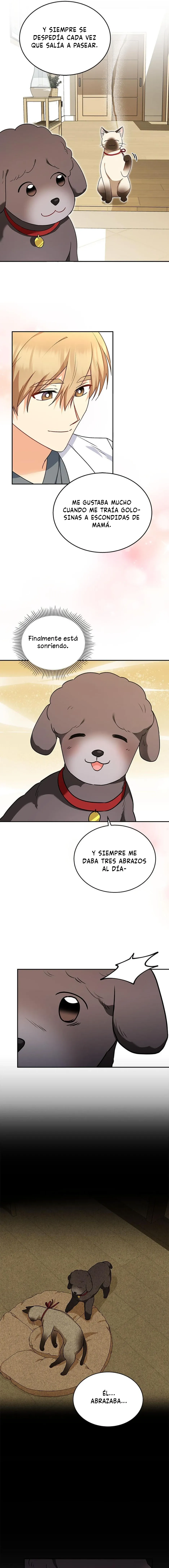 ¡Veterinario! ¿Hola? Capítulo 34 en Línea - página 12