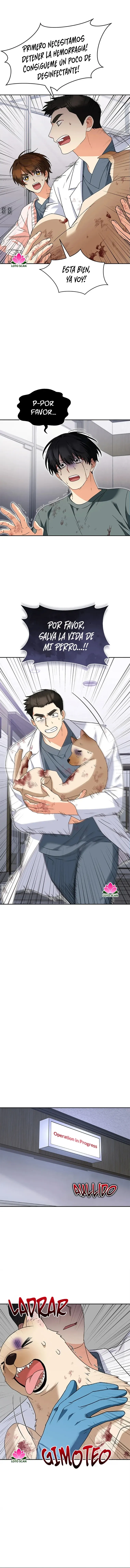 ¡Veterinario! ¿Hola? Capítulo 46 en Línea - página 9