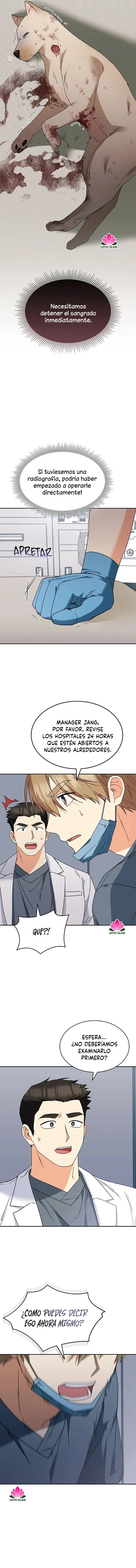 ¡Veterinario! ¿Hola? Capítulo 46 en Línea - página 13