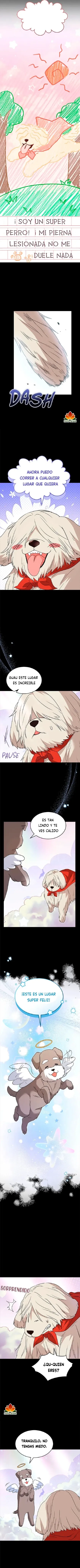¡Veterinario! ¿Hola? Capítulo 48 en Línea - página 8