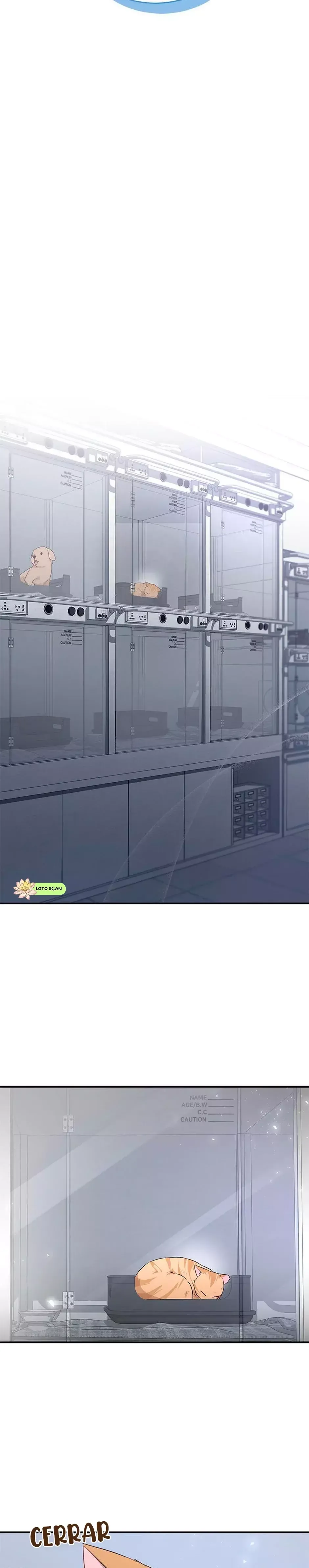 ¡Veterinario! ¿Hola? Capítulo 7 en Línea - página 7
