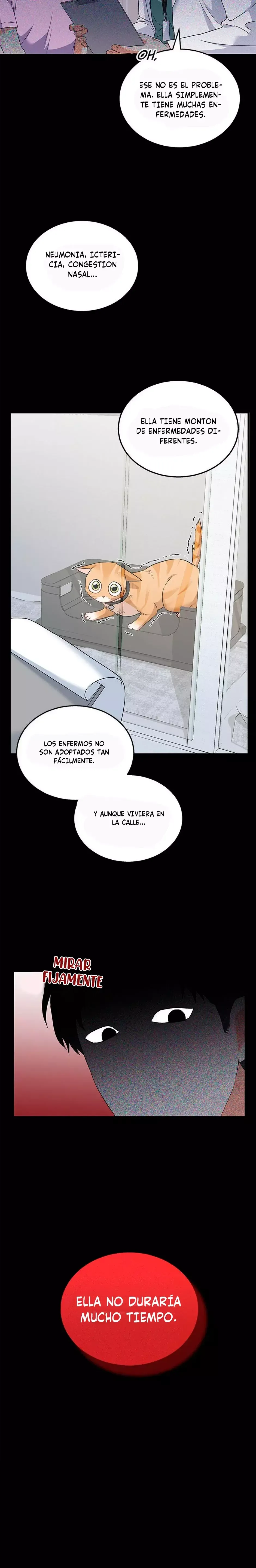 ¡Veterinario! ¿Hola? Capítulo 7 en Línea - página 9