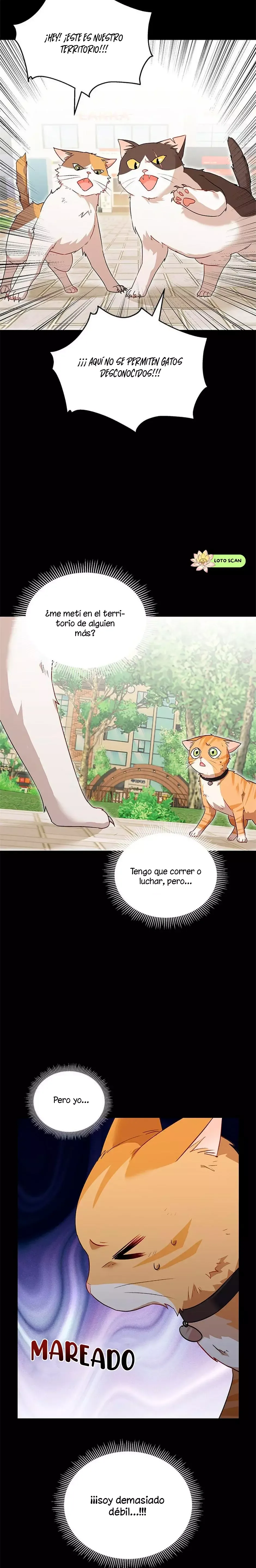 ¡Veterinario! ¿Hola? Capítulo 7 en Línea - página 13