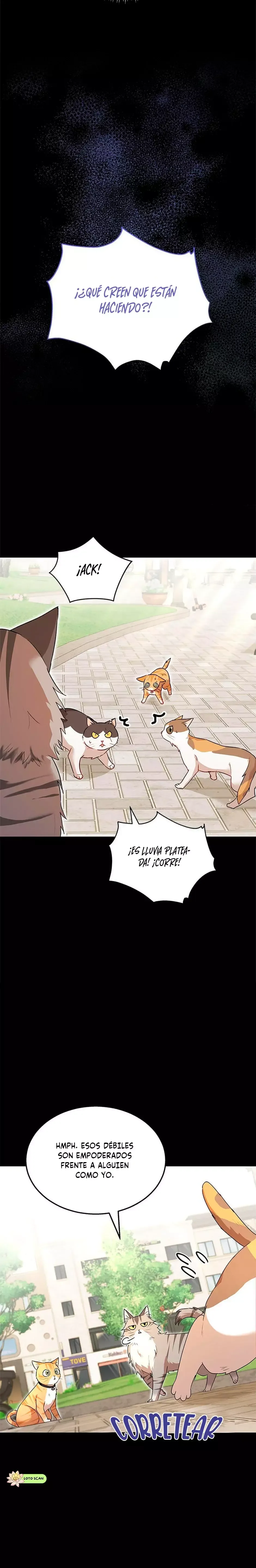 ¡Veterinario! ¿Hola? Capítulo 7 en Línea - página 14