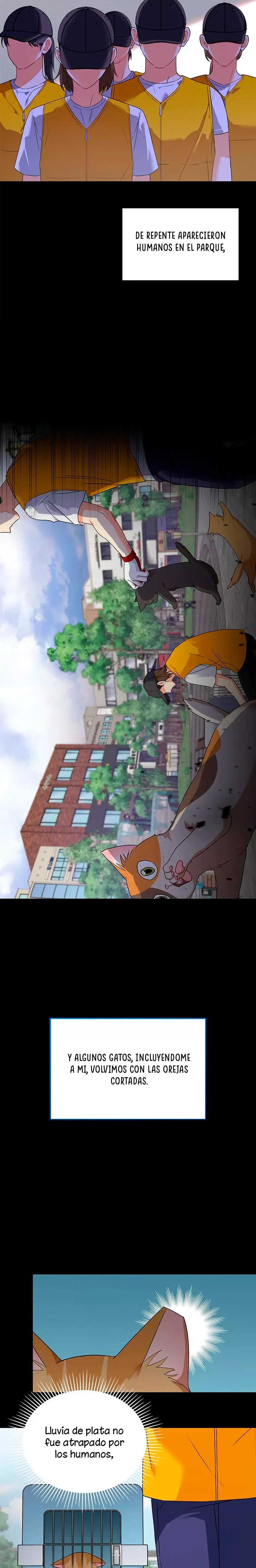 ¡Veterinario! ¿Hola? Capítulo 7 en Línea - página 17