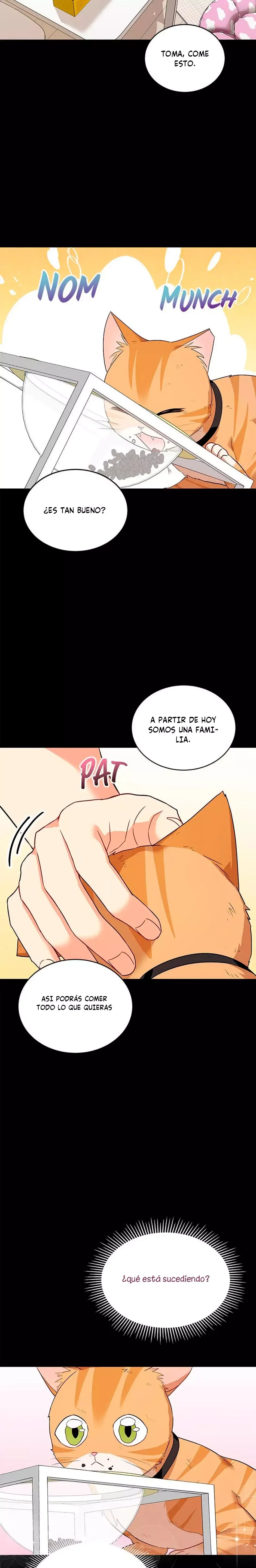 ¡Veterinario! ¿Hola? Capítulo 7 en Línea - página 20