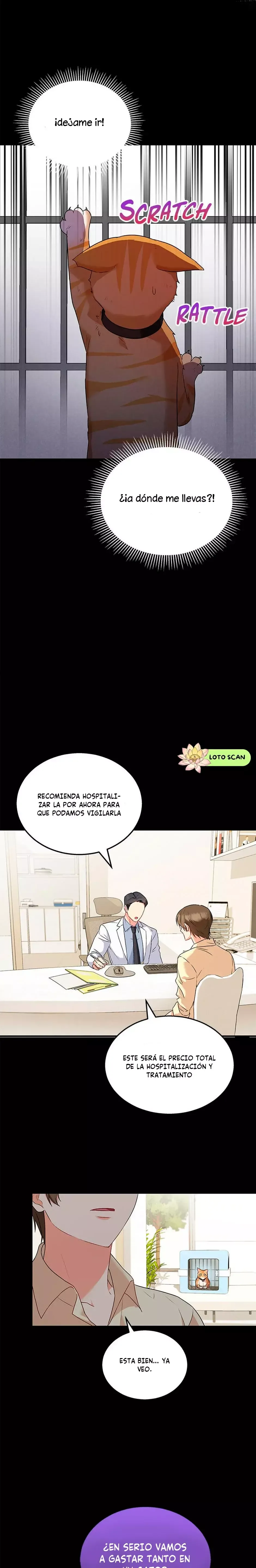 ¡Veterinario! ¿Hola? Capítulo 7 en Línea - página 23