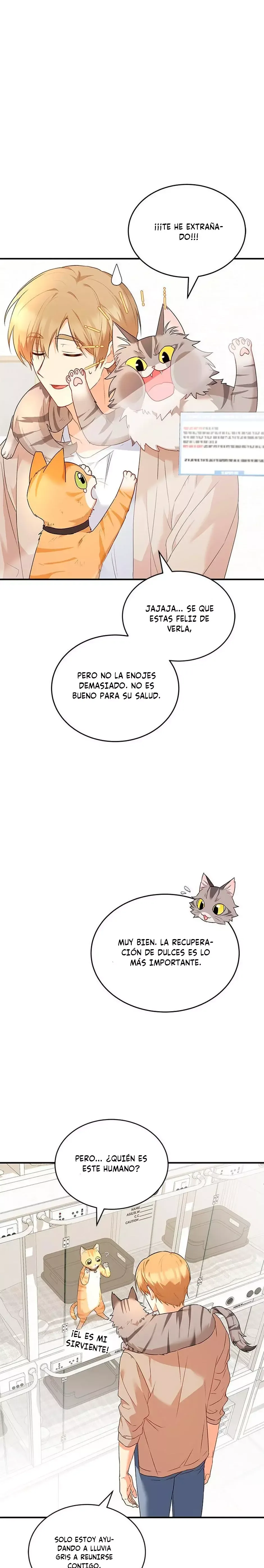 ¡Veterinario! ¿Hola? Capítulo 7 en Línea - página 28
