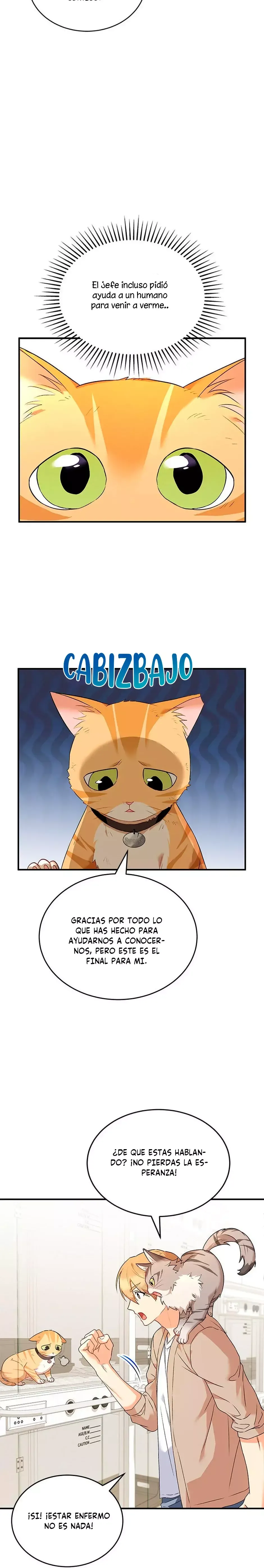 ¡Veterinario! ¿Hola? Capítulo 7 en Línea - página 29