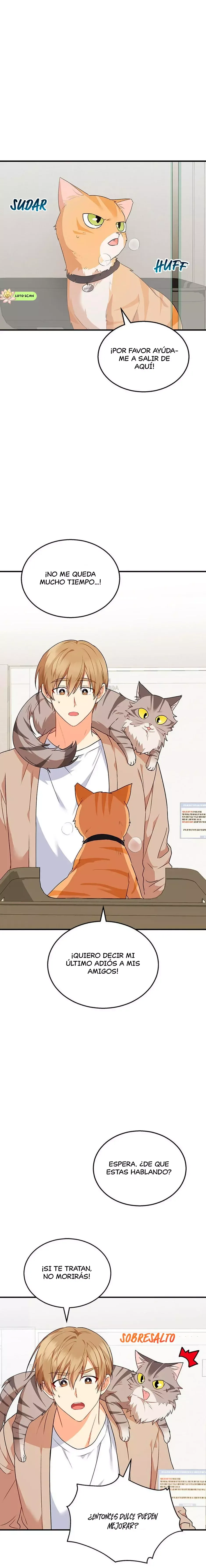¡Veterinario! ¿Hola? Capítulo 8 en Línea - página 2