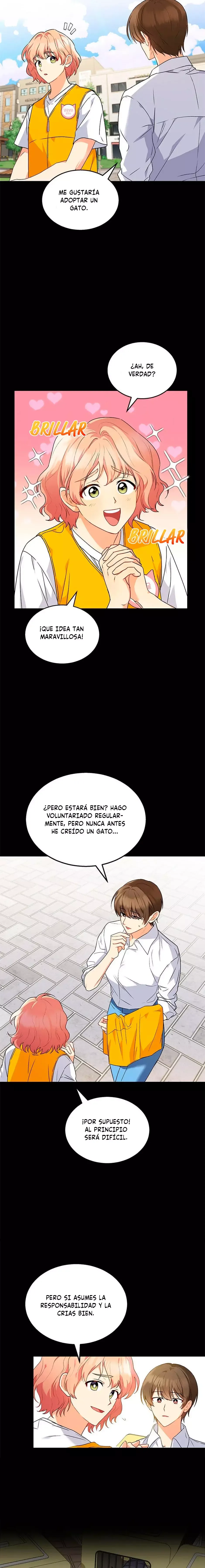 ¡Veterinario! ¿Hola? Capítulo 8 en Línea - página 7