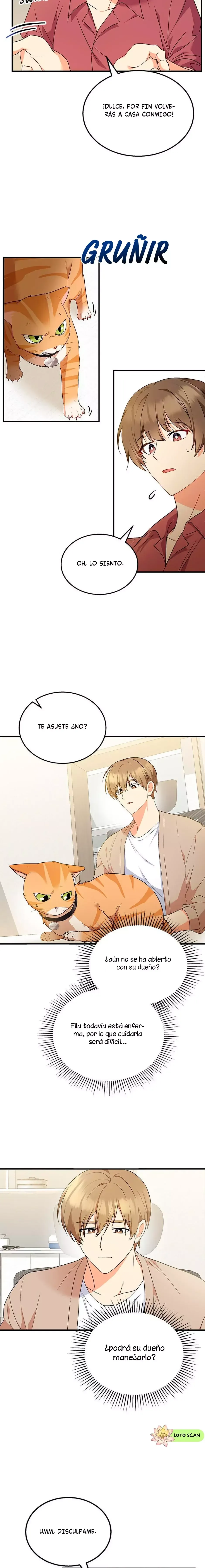 ¡Veterinario! ¿Hola? Capítulo 8 en Línea - página 11