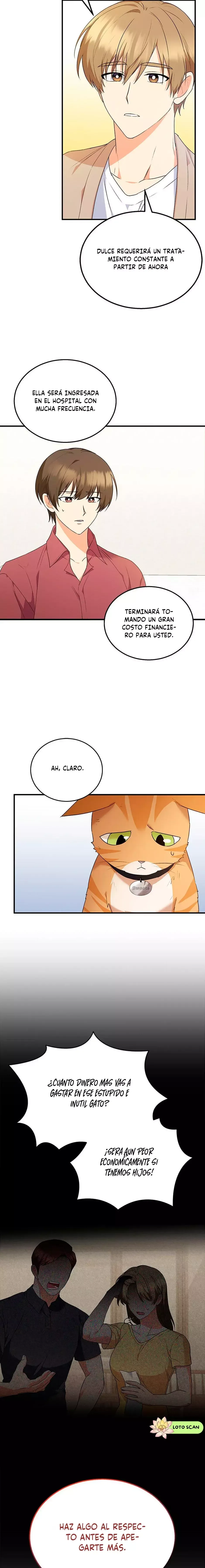 ¡Veterinario! ¿Hola? Capítulo 8 en Línea - página 12