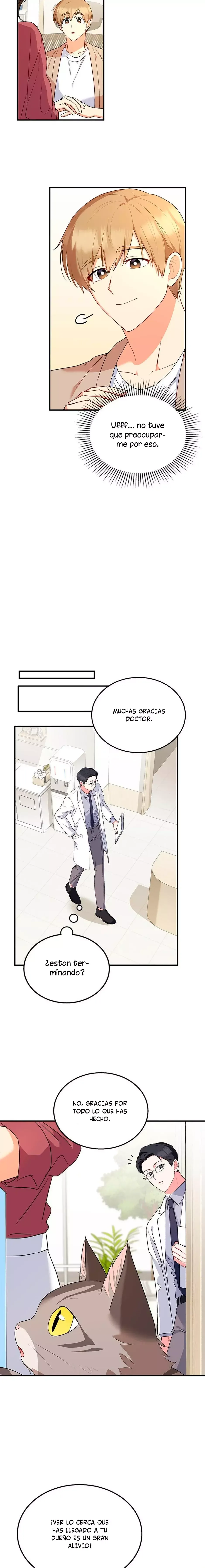 ¡Veterinario! ¿Hola? Capítulo 8 en Línea - página 17