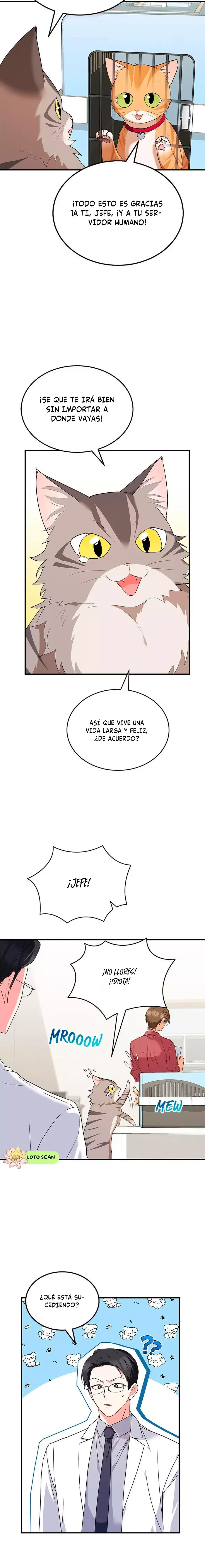¡Veterinario! ¿Hola? Capítulo 8 en Línea - página 18