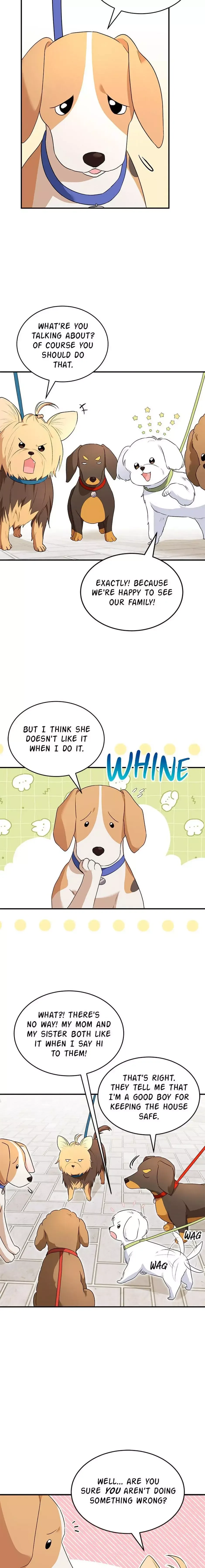 ¡Veterinario! ¿Hola? Capítulo 9 en Línea - página 10