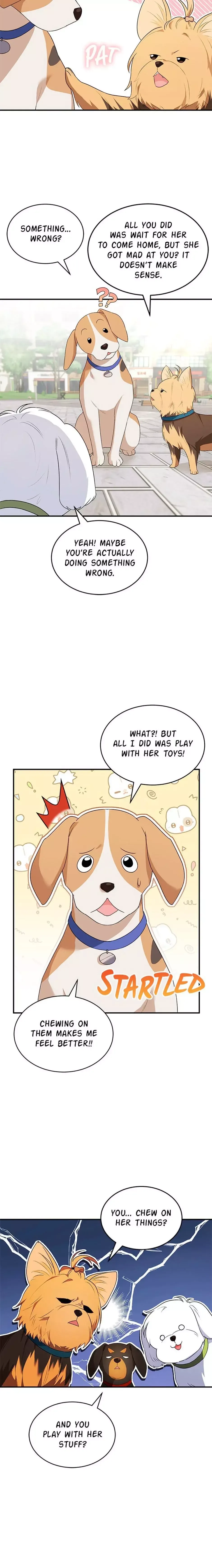 ¡Veterinario! ¿Hola? Capítulo 9 en Línea - página 11