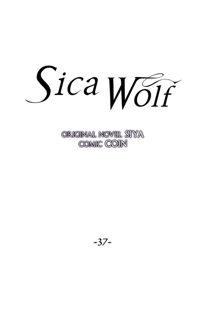 Wolf Sica Capítulo 37 en Línea - página 14