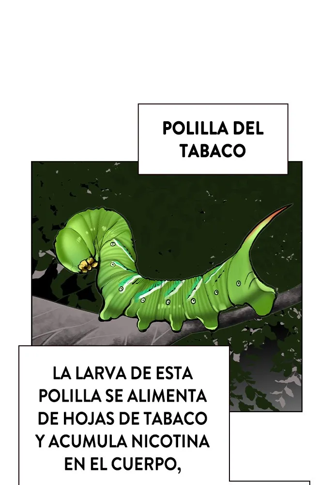Zumo de la selva Capítulo 41 en Línea - página 25