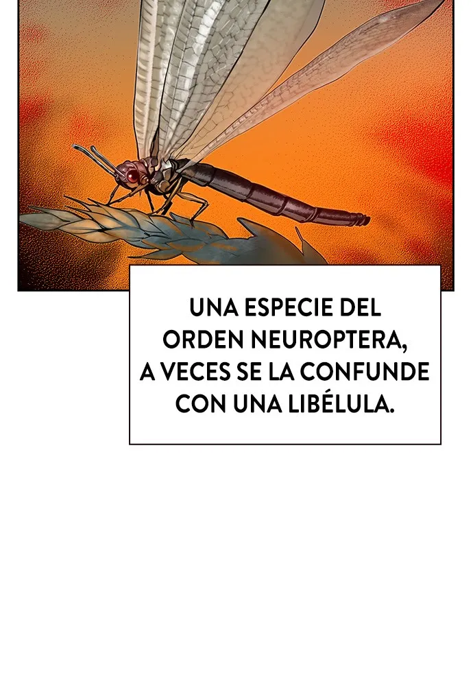 Zumo de la selva Capítulo 41 en Línea - página 93