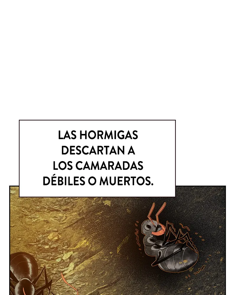 Zumo de la selva Capítulo 46 en Línea - página 62